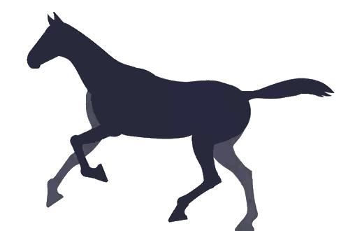 Silhouette Of Running Horse Sticker
