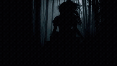 Silhouette Person In Dark Forest GIF