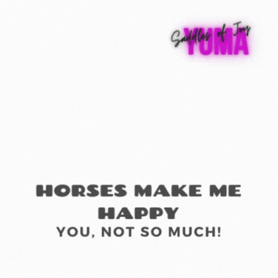 Silhouette Person Riding Horse Horses Make Me Happy GIF