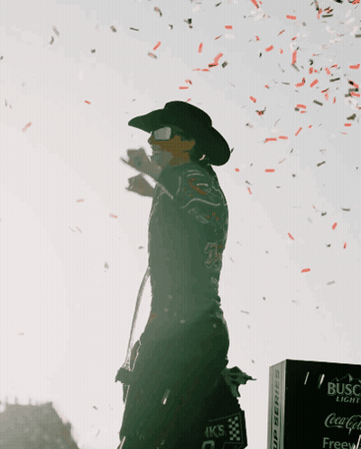 Silhouette Person Wearing Black Jacket Dove GIF