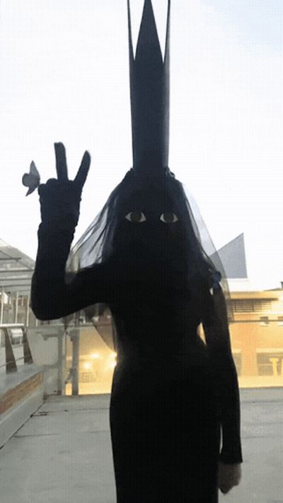 Silhouette Woman With Veil And Crown GIF