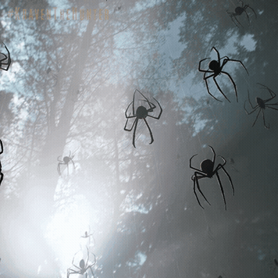 Silhouetted Spiders Foggy Sky Paranormal GIF