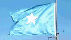 Silky Somalia Flag