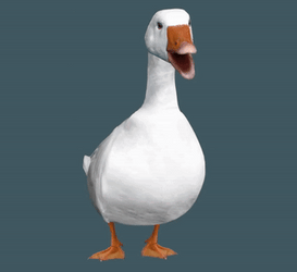 Silly Goose Turns To Egg GIF