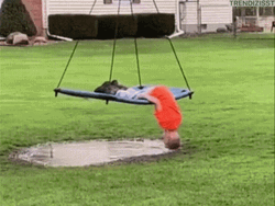 Silly Kid Hanging On Swing Upside Down GIF