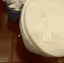 Silly Rat Run Inside Toilet GIF
