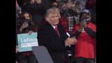 Silly Simple Trump Dancing GIF
