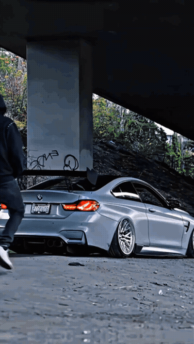 Silver BMW Parked Under Bridge With California Tag GIF