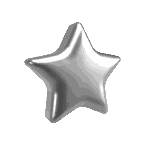Silver Star Sticker