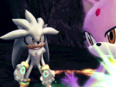 Silver The Hedgehog Standing Next To Blaze The Hedgehog In A Video Game GIF