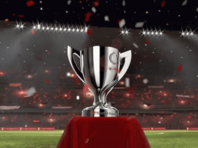 Silver Trophy On Red Cloth Saying Ticaret Kupasi GIF