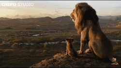 Simba GIF
