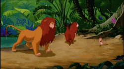 Simba Take A Bath With Timon And Pumbaba GIF | GIFDB.com