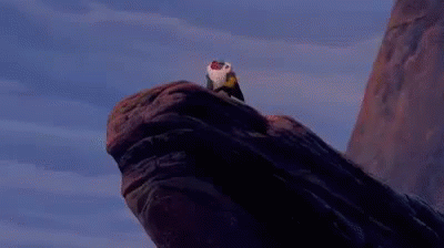 Simba And Baboon From The Lion King Are Standing Next To Each Other . GIF