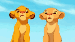 Simba And Nala's Curious Gaze GIF