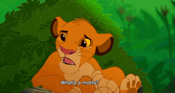 Simba Asking Timon What Is Motto GIF