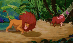 Simba Energetic Playtime With Timon And Pumbaba GIF