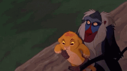 Simba GIF