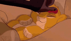 Simba Peaceful Nap In The Pride Lands GIF