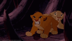 Simba Protects Nala With A Loud Roar GIF