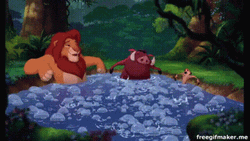 Simba, Pumba And Timon In The Hot Tub GIF