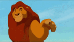 Simba Tell Everyone That Is His Territory GIF