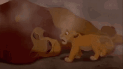 Simba Try To Waking Up His Died Father GIF