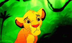 Simba Wide-Eyed Wonder GIF