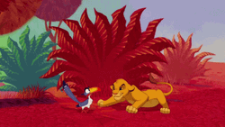 Simba GIF