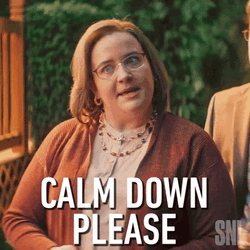 Simmer Down Now Aidy Bryant Calm Down Please GIF