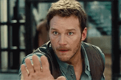 Simmer Down Now Chriss Patt Hand Sign GIF