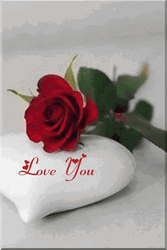 Simple One Rosas Love You GIF