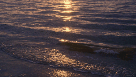 Simple Waves At The Sea GIF