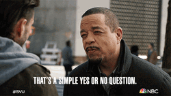 Simple Yes Or No Question SVU Odafin Tutuola GIF