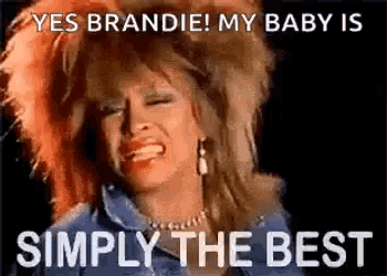 Simply The Best Tina Turner GIF