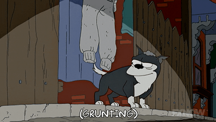 Simpsons Grunting Dog Chasing Tail GIF