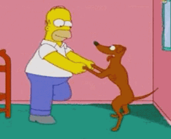 Simpsons Homer Dancing With Dog