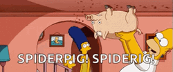 Simpsons Spider Pig GIF
