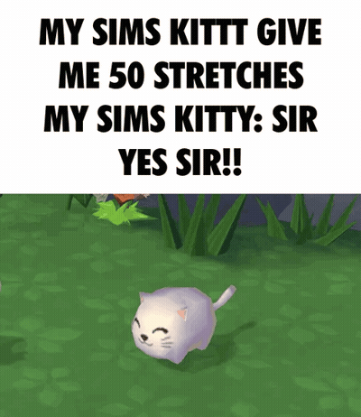 Sims Kitty Giving 50 Stretches GIF