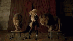 Singer Britney Spears Lion Roar GIF