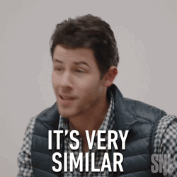 Singer Nick Jonas Same Same But Different GIF