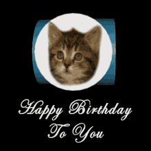 Singing Happy Birthday Rotating Faces Of Cat GIF