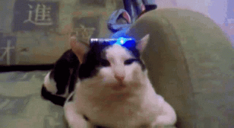Siren GIF