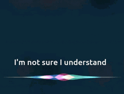 Siri I'm Not Sure I Understand GIF