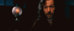 Sirius Black Explaining Reaction GIF