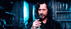 Sirius Black Serious Drinking Wine GIF
