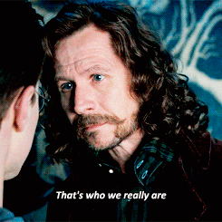 Sirius Black That's Who We Really Are GIF
