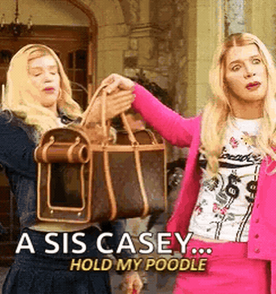 Sis Casey Hold My Poodle Poster With Two Women Holding Handbags GIF