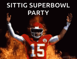 Sittig Happy Super Bowl Sunday Party GIF