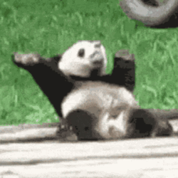 Sitting While Dancing Panda GIF